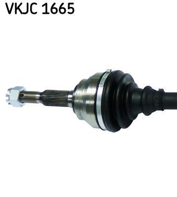 Cardan SKF ref. VKJC 1665